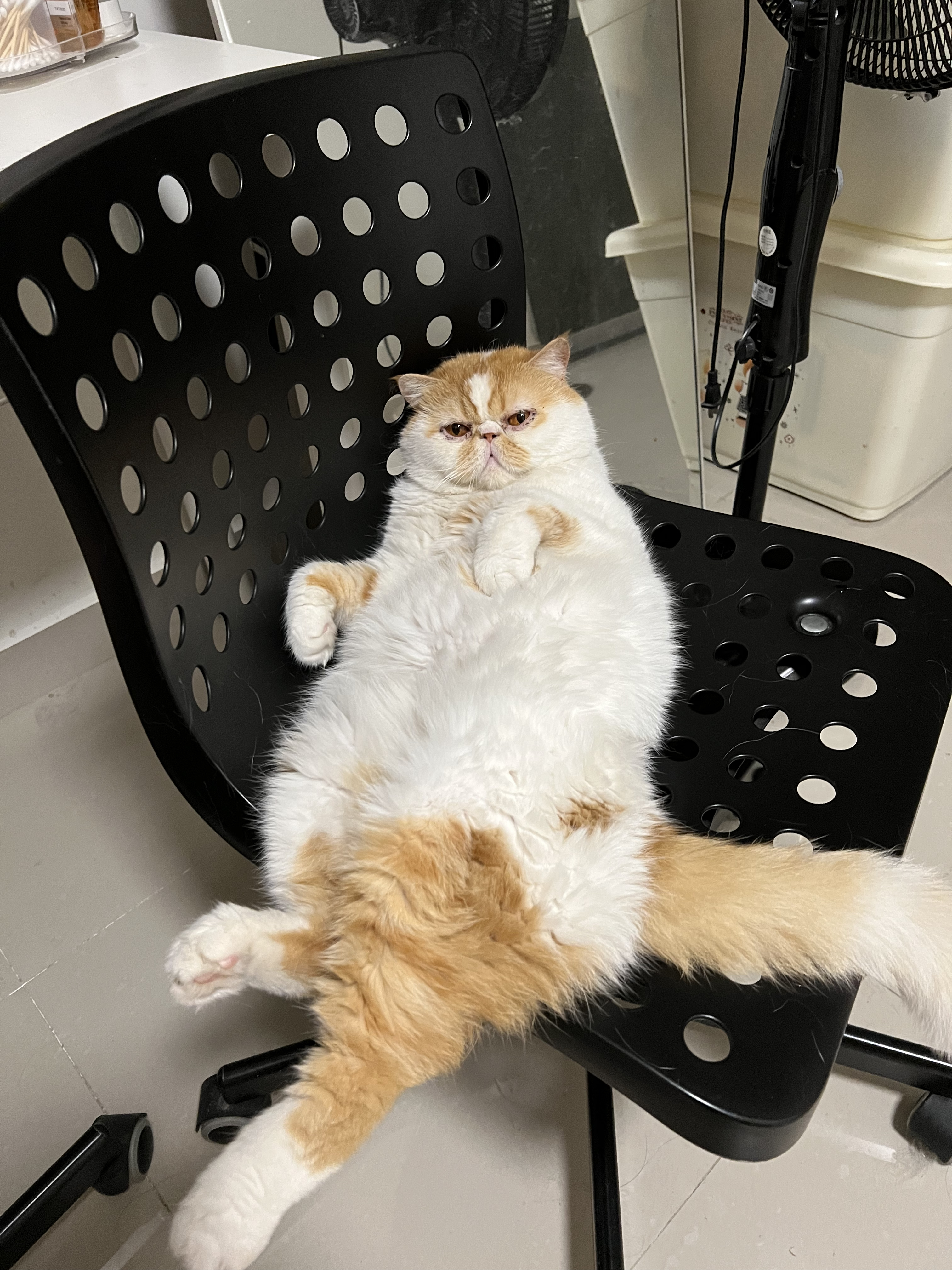 Oscar_2